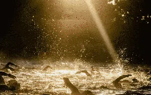 Bingkai Sepekan: Kobar Semangat Tekat Kuat