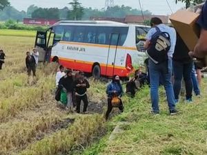Detik-detik Bus Harapan Jaya Nyungsep ke Sawah di Kediri