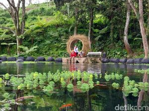 Menikmati Cantiknya Telaga Madiredo Malang yang Bikin Hati Adem-Tenang Menikmati Cantiknya Telaga Madiredo Malang yang Bikin Hati Adem-Tenang