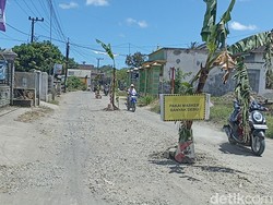 PUPR Anggarkan Rp 2,5 M Perbaiki Jalan di Tulungagung Ditanami Pohon Pisang