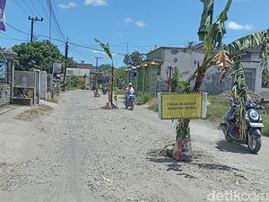 PUPR Anggarkan Rp 2,5 M Perbaiki Jalan di Tulungagung Ditanami Pohon Pisang PUPR Anggarkan Rp 2,5 M Perbaiki Jalan di Tulungagung Ditanami Pohon Pisang