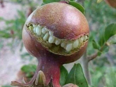 Foto Unik Tapi Menyeramkan, Berharap Tidak Nyata