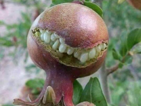 Foto Unik Tapi Menyeramkan, Berharap Tidak Nyata