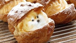 Ini 10 Potret Makanan dengan Puppies yang Imut dan Menggemaskan