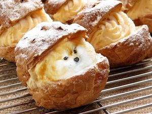 Ini 10 Potret Makanan dengan Puppies yang Imut dan Menggemaskan