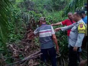 Ini Lokasi Siswi SMP Diperkosa dan Dibunuh Penjaga Kebun Sawit di Jambi Ini Lokasi Siswi SMP Diperkosa dan Dibunuh Penjaga Kebun Sawit di Jambi