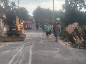 Evakuasi Pohon Tumbang Selesai, Jalan Sambi-Simo Boyolali Dibuka Lagi