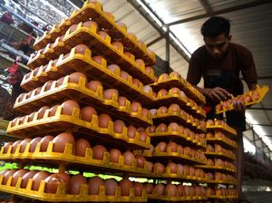 Pemerintah Tak Ikut Campur soal Harga Telur Ayam Mahal
