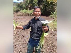 Kata Ahli Taksonomi Unpad soal Bunga Rawa Langka di Ranca Upas Kata Ahli Taksonomi Unpad soal Bunga Rawa Langka di Ranca Upas