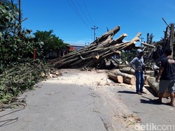 Jalan Sambi-Simo Boyolali Tertutup Pohon Tumbang, Ini Jalur Alternatifnya