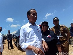 Pesan Jokowi soal Pungli ke Penggarap Lahan Hutan di Gabusan Blora
