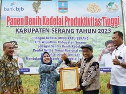 Sukses Uji Coba, Varietas Kedelai Ini Diberi Nama Migo Ratu Serang