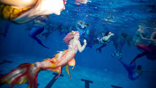 Begini Jadinya Kalau Ratusan Putri Duyung Nongkrong Bareng