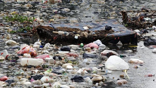 Jorok! Situ Tlajung Bogor Dipenuhi Sampah