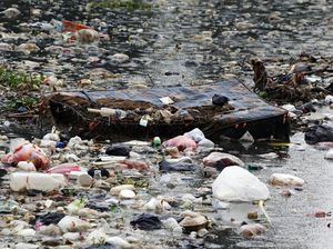 Jorok! Situ Tlajung Bogor Dipenuhi Sampah Jorok! Situ Tlajung Bogor Dipenuhi Sampah