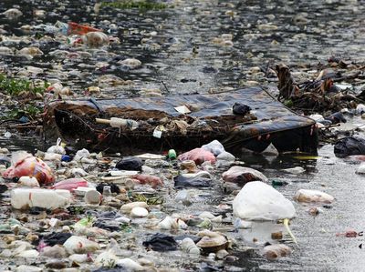 Jorok! Situ Tlajung Bogor Dipenuhi Sampah