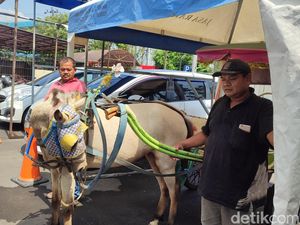 Delman Raib Ditinggal Jumatan di Semarang Ketemu, Pemilik Potong Ayam Delman Raib Ditinggal Jumatan di Semarang Ketemu, Pemilik Potong Ayam