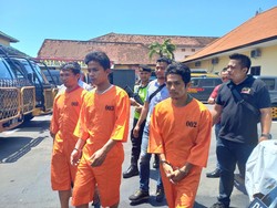 3 Penebang Kayu Sonokeling di Kawasan Hutan Diringkus