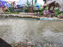 Sungai Keruh di Cianjur Diubah Jadi Tempat Budidaya Ikan Hias Ciamik