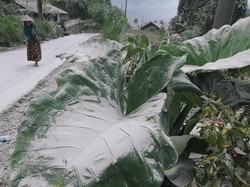 Penampakan Hujan Abu Merapi yang Guyur Selo Boyolali