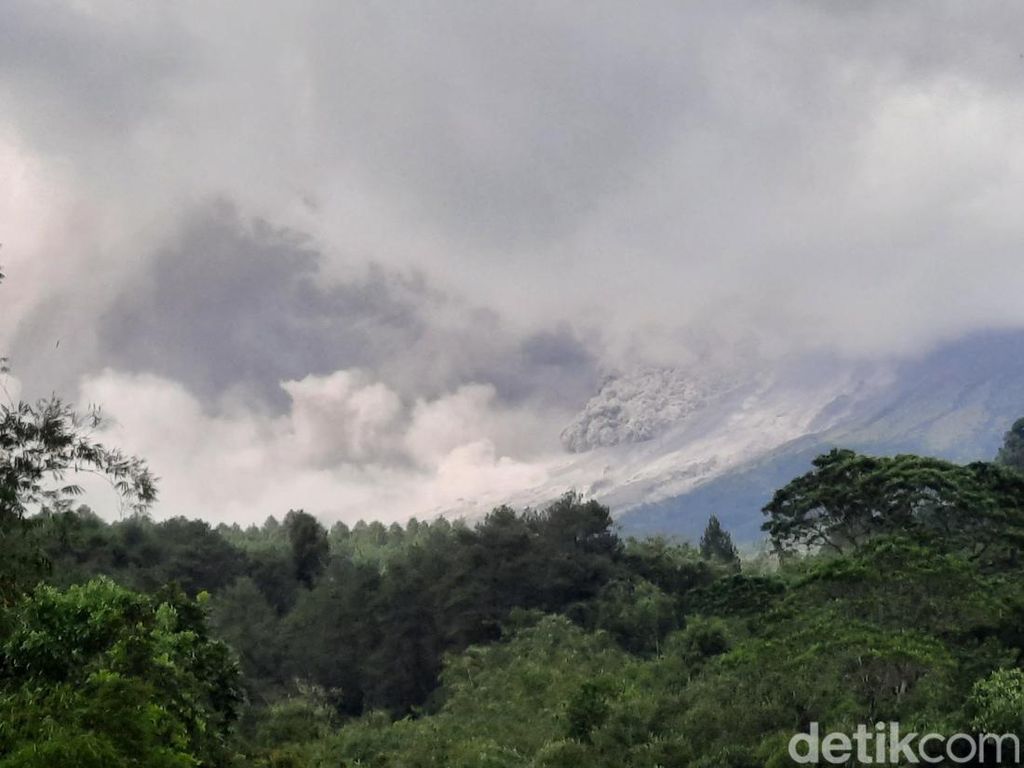 Gunung Merapi Erupsi Muntahkan Awan Panas, Potensi Bahaya 7 Km