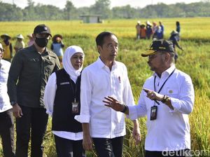 Jokowi Puji Hasil Panen Padi Ngawi, Siap Beri Bantuan Seribu Mesin Combine Jokowi Puji Hasil Panen Padi Ngawi, Siap Beri Bantuan Seribu Mesin Combine