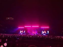 Cerita Ortu BLINK dari Medan-Jambi Antar Anak Nonton BLACKPINK