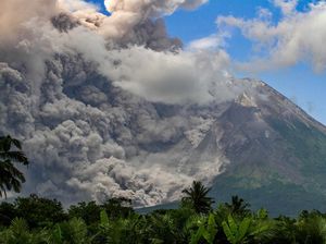 PVMBG Catat 21 Kali Awan Panas Guguran di Gunung Merapi PVMBG Catat 21 Kali Awan Panas Guguran di Gunung Merapi