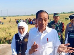 Jokowi ke Tuban Hari Ini, Tanam Padi hingga Bagikan Sembako