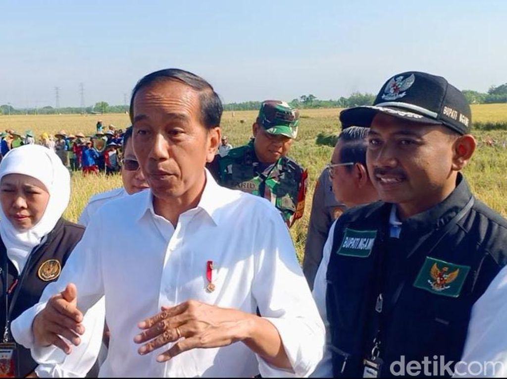 Jokowi Ungkap Kesulitan Stabilkan Harga Gabah-Beras