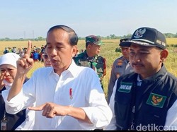 Blusukan ke Lumbung Beras, Jokowi Soroti Harga di Tengah Panen Raya