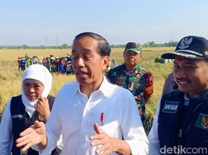 Pesan Jokowi ke Petani saat Panen Raya Padi di Ngawi: Langsung Tanam Lagi Pesan Jokowi ke Petani saat Panen Raya Padi di Ngawi: Langsung Tanam Lagi