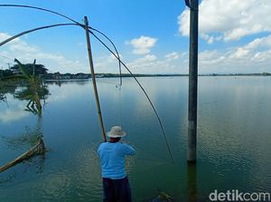 Banjir Jalur Alternatif Pati-Rembang Surut, 277 Ha Sawah Masih Terendam