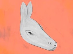 Tes Kepribadian: Gambar Keledai atau Anjing Laut yang Pertama Kamu Lihat?