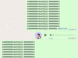 WhatsApp Terkena Virtex? Segera Lakukan Hal Ini Untuk Mengatasinya