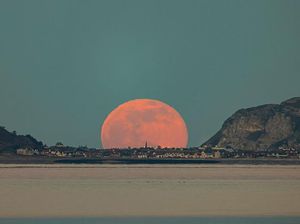 Worm Moon Bakal Muncul di Indonesia, Diprediksi Bisa Picu Banjir Rob Worm Moon Bakal Muncul di Indonesia, Diprediksi Bisa Picu Banjir Rob