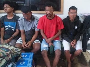 Aparat TNI-Polri dan Bea Cukai Sita 4,2 Kg Ganja di Perbatasan Skouw Jayapura