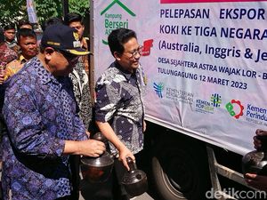 Mantap! Ikan Mas Koki Tulungagung Mulai Diekspor ke Tiga Negara Mantap! Ikan Mas Koki Tulungagung Mulai Diekspor ke Tiga Negara