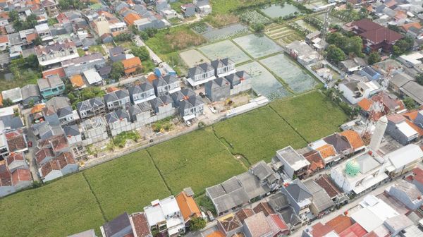 Foto Udara Persawahan di Rorotan Jakut Tergerus Permukiman Warga