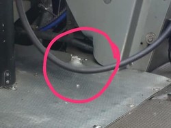 Polisi Tahan 1 Anggota KKB Terkait Penembakan Trigana Air di Bandara Dekai