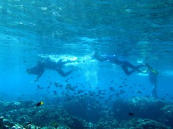 Turis China Tewas Saat Snorkeling, Sempat Minta Tolong dan Dibawa ke RS