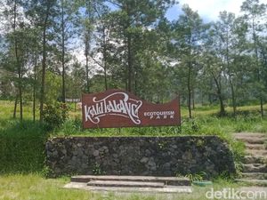 Merapi Gugurkan Awan Panas, Rute Tracking di Kali Talang Klaten Dibatasi Merapi Gugurkan Awan Panas, Rute Tracking di Kali Talang Klaten Dibatasi