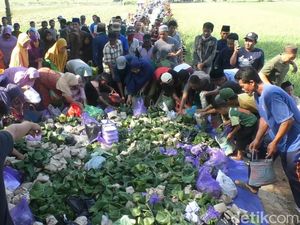 Uniknya Nyadran di Kaibahan Pekalongan, Tumpukan Nasi Bungkus Menggunung