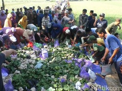 Uniknya Nyadran di Kaibahan Pekalongan, Tumpukan Nasi Bungkus Menggunung
