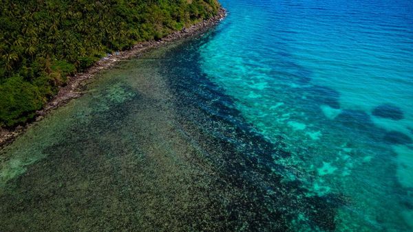 Parah! Laut Filipina Tercemar Minyak Gara-gara Kapal Karam