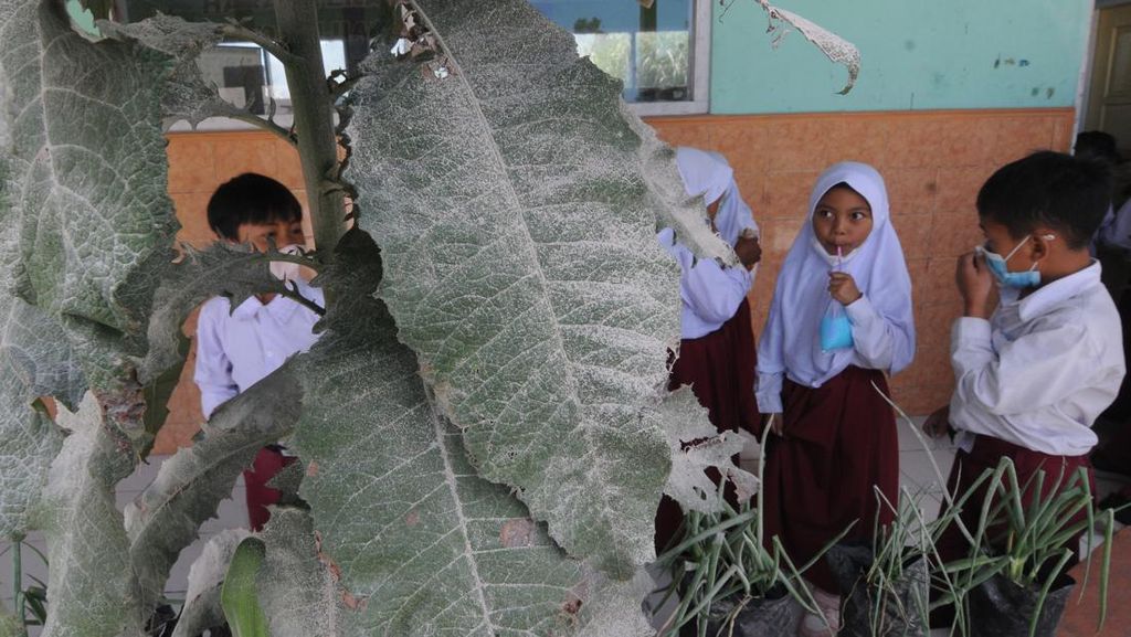 Hujan Abu Erupsi, Begini Aktivitas Sekolah di Lereng Gunung Merapi Hujan Abu Erupsi, Begini Aktivitas Sekolah di Lereng Gunung Merapi
