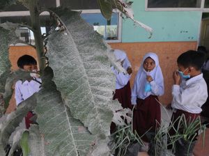 Hujan Abu Erupsi, Begini Aktivitas Sekolah di Lereng Gunung Merapi