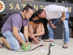 Gangster Surabaya Gagal Tawuran, 1 Orang Diamankan Usai Konsumsi Narkoba