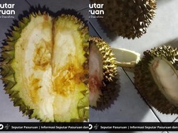 Wisatawan Ini Kena Zonk Saat Beli Durian Rp 100.000 di Pasuruan