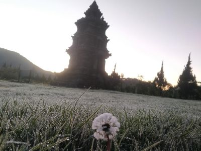 Potret Memukau Embun Es di Dataran Tinggi Dieng